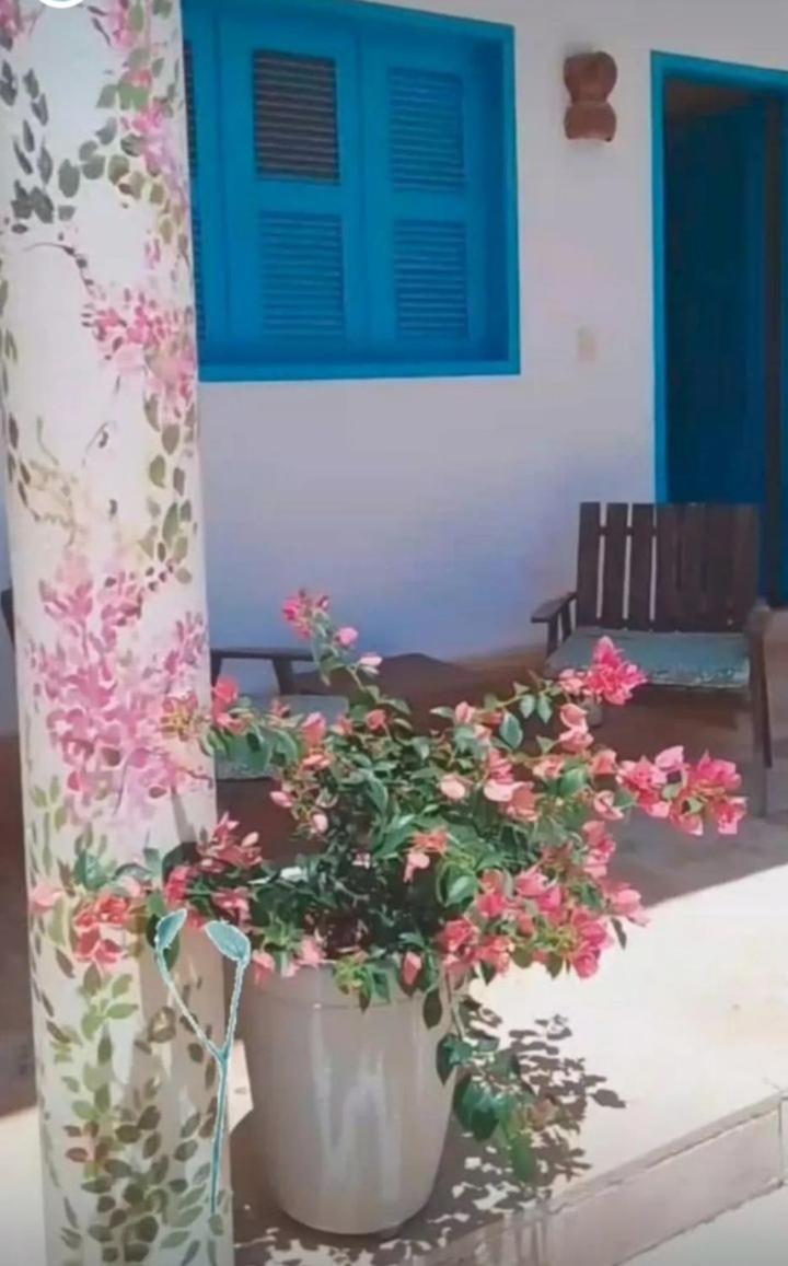 Apartment Recidencial Pura Vida